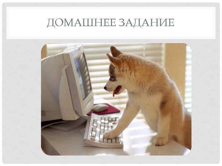 ДОМАШНЕЕ ЗАДАНИЕ 