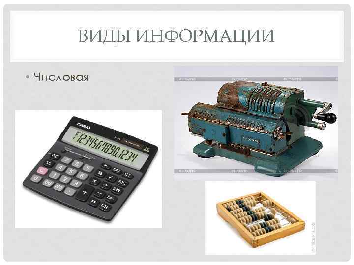 ВИДЫ ИНФОРМАЦИИ • Числовая 