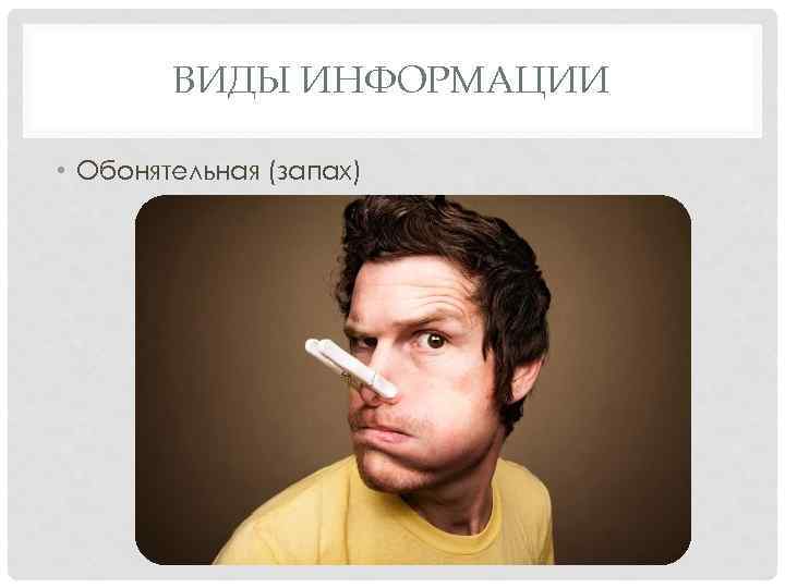 ВИДЫ ИНФОРМАЦИИ • Обонятельная (запах) 