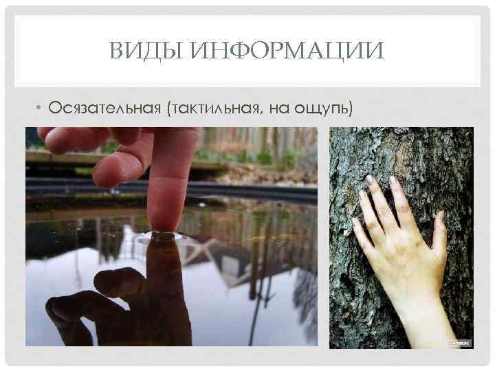 ВИДЫ ИНФОРМАЦИИ • Осязательная (тактильная, на ощупь) 