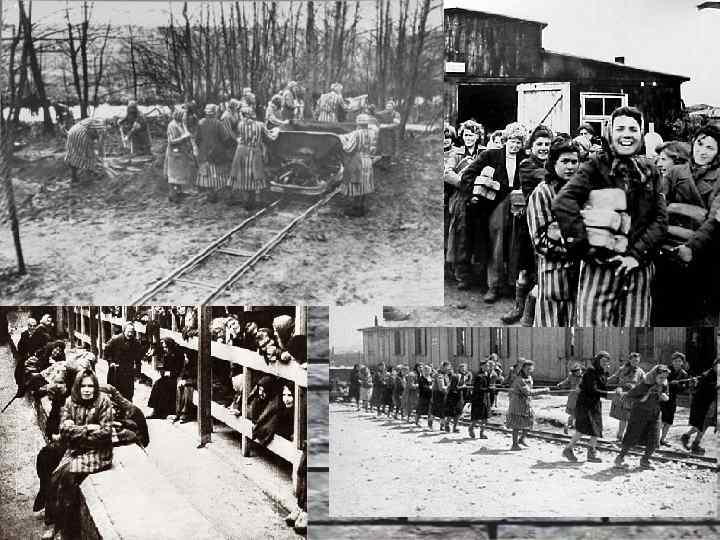 Большой женский лагерь, построенный на территории Германии. 92700 женщин и девушек почти всех европейских
