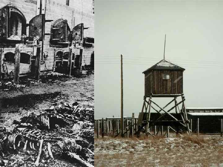 Этот лагерь уничтожения первоначально носил название концентрационного лагеря войск СС «Люблин» . Только 16