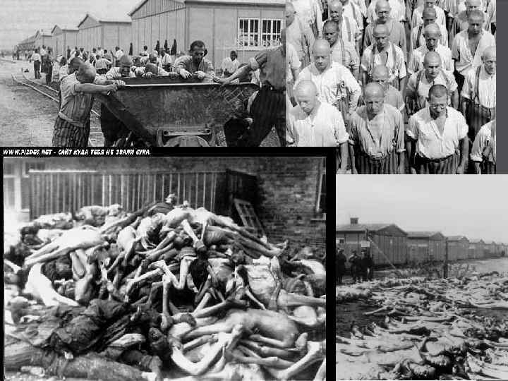 Дахау – первый концентрационный лагерь в фашистской Германии, создан в 1933 году в городе