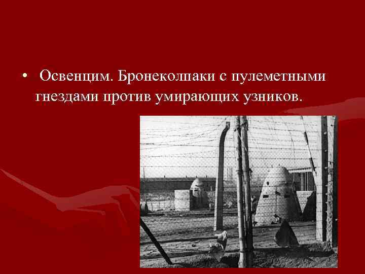  • Освенцим. Бронеколпаки с пулеметными гнездами против умирающих узников. 