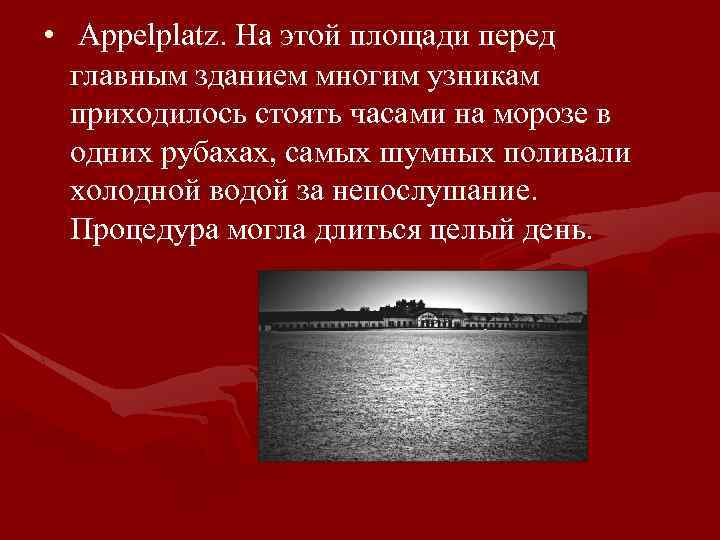  • Appelplatz. На этой площади перед главным зданием многим узникам приходилось стоять часами