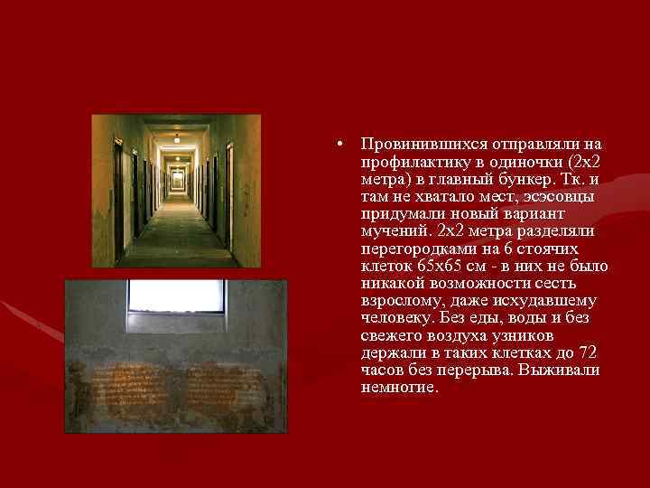  • Провинившихся отправляли на профилактику в одиночки (2 х2 метра) в главный бункер.