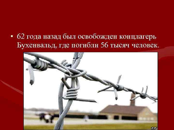  • 62 года назад был освобожден концлагерь Бухенвальд, где погибли 56 тысяч человек.