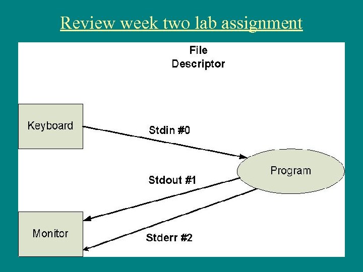 Review week two lab assignment 