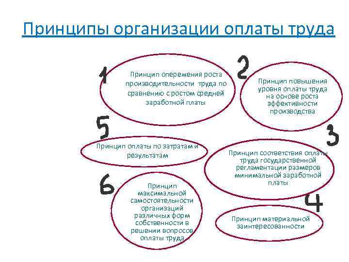 Принципы оплаты труда. Принципы организации оплаты труда. Укажите принципы организации оплаты труда. Принципы организации оплаты труда на предприятии. Назвать принципы организации оплаты труда.