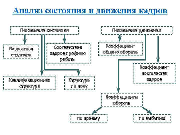 Анализ состояния и движения кадров Показатели состояния Возрастная структура Показатели движения Соответствие кадров профилю