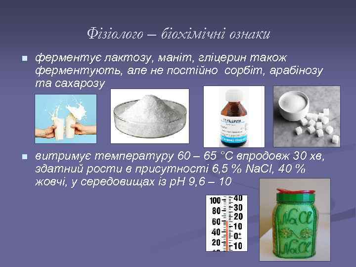 Фізіолого – біохімічні ознаки n ферментує лактозу, маніт, гліцерин також ферментують, але не постійно