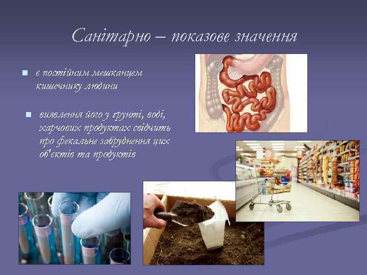 Санітарно – показове значення n n є постійним мешканцем кишечнику людини виявлення його у