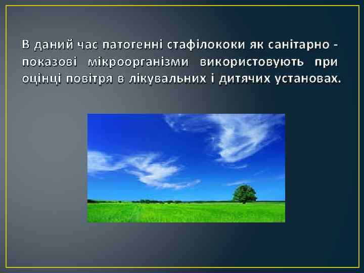 В даний час патогенні стафілококи як санітарно показові мікроорганізми використовують при оцінці повітря в