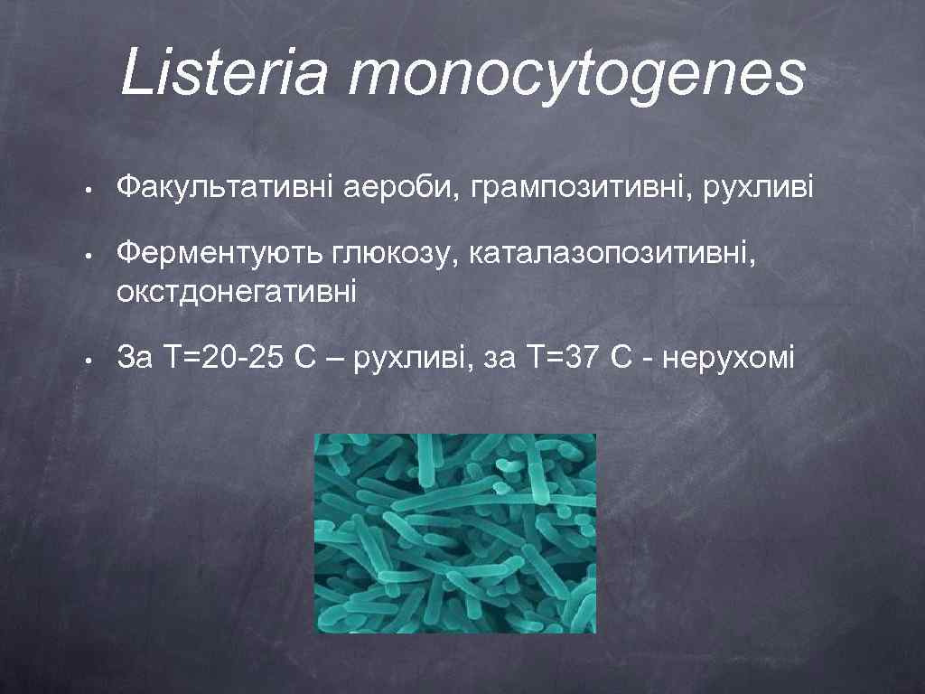 Listeria monocytogenes • Факультативні аероби, грампозитивні, рухливі • Ферментують глюкозу, каталазопозитивні, окстдонегативні • За