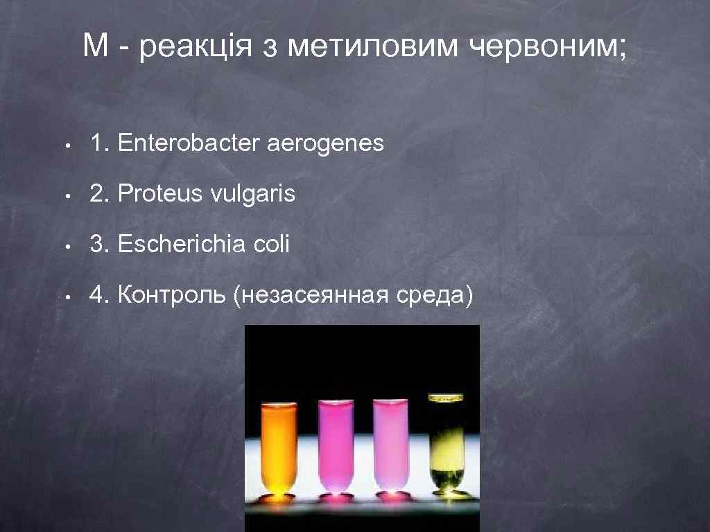 М - реакція з метиловим червоним; • 1. Enterobacter aerogenes • 2. Proteus vulgaris