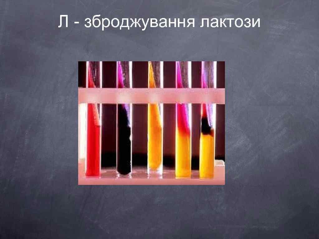 Л - зброджування лактози 