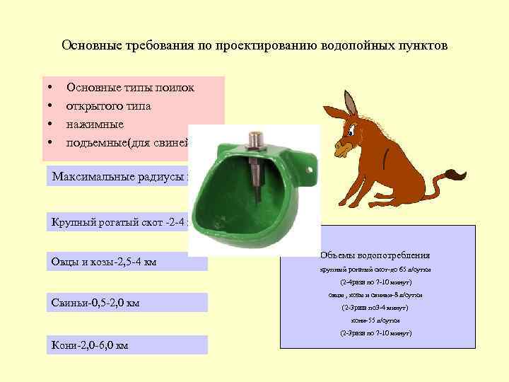 Основные требования по проектированию водопойных пунктов • • Основные типы поилок открытого типа нажимные