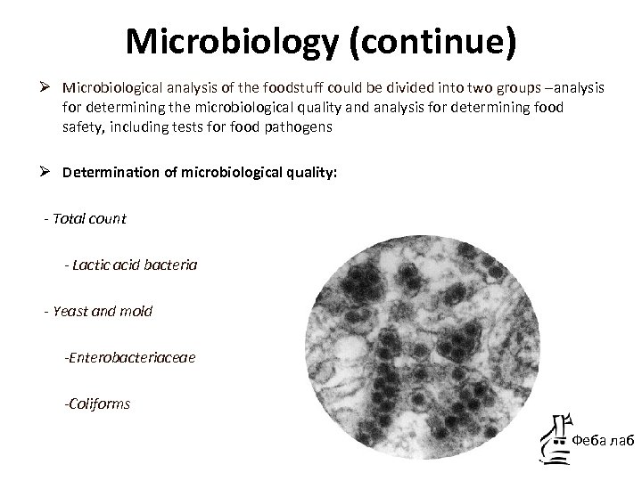 Microbiology (continue) Ø Microbiological analysis of the foodstuff could be divided into two groups