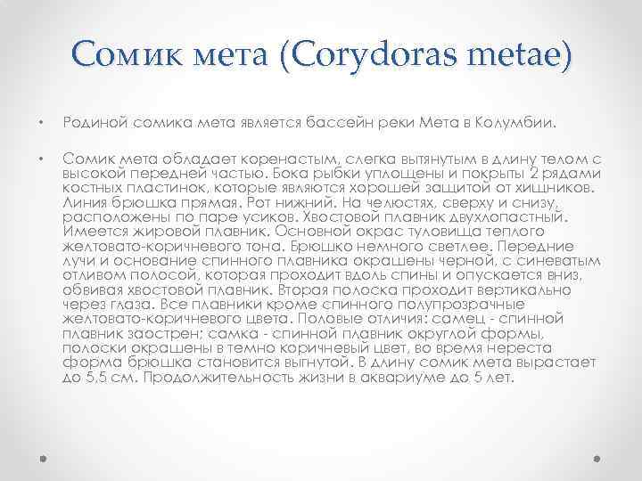 Сомик мета (Corydoras metae) • Родиной сомика мета является бассейн реки Мета в Колумбии.