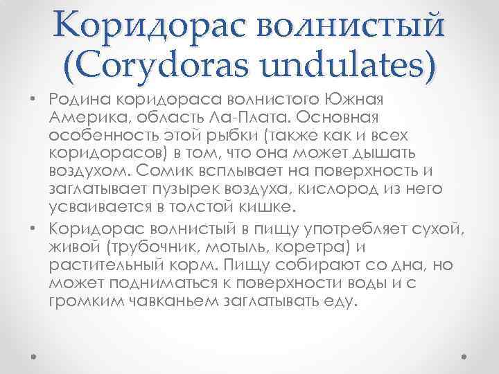 Коридорас волнистый (Corydoras undulates) • Родина коридораса волнистого Южная Америка, область Ла-Плата. Основная особенность