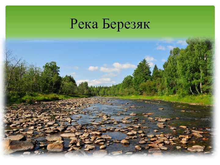Река Березяк 