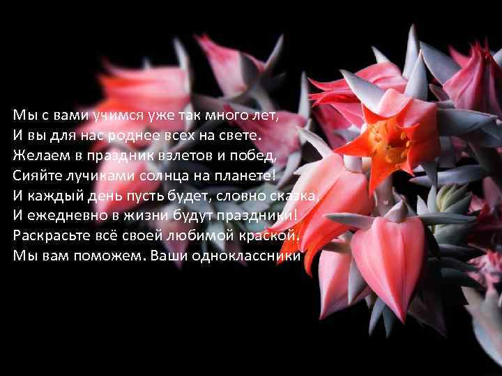 Мы с вами учимся уже так много лет, И вы для нас роднее всех