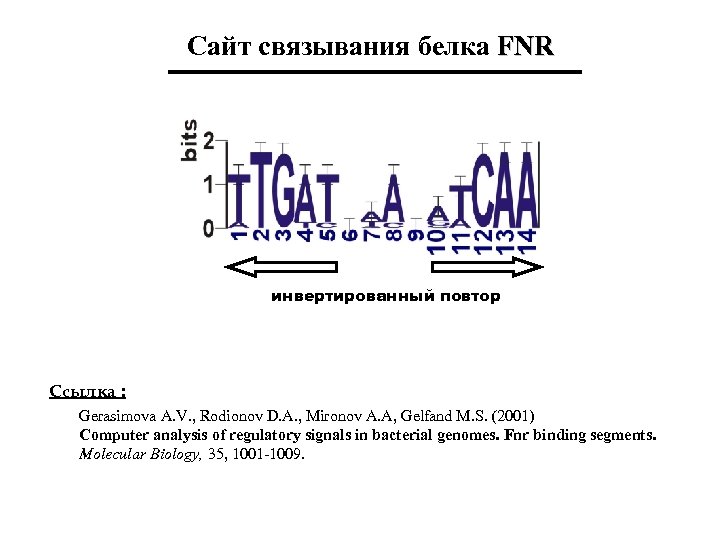 Сайт связывания белка FNR инвертированный повтор Ссылка : Gerasimova A. V. , Rodionov D.