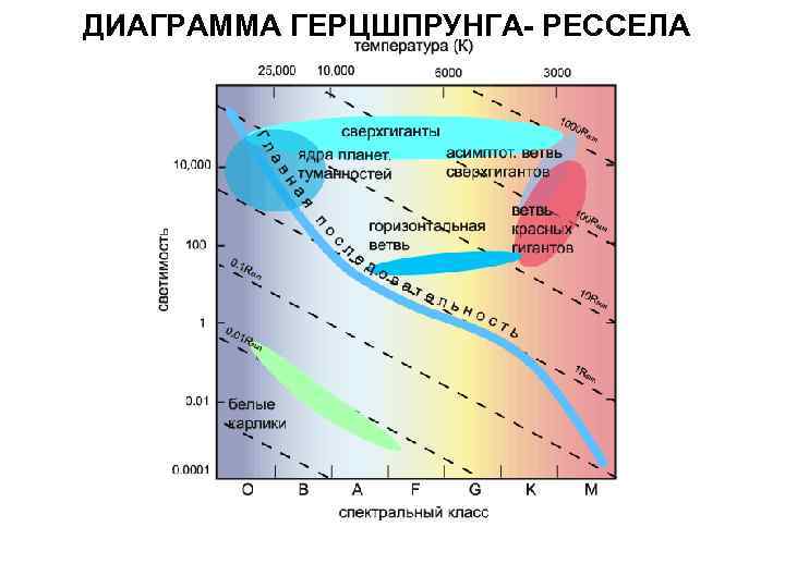 Покажите по диаграмме герцшпрунга рассела жизненный путь солнца астрономия