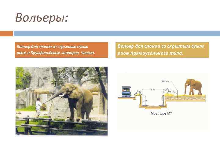 Вольеры: Вольер для слонов со скрытым сухим рвом в Брукфильдском зоопарке, Чикаго. Вольер для