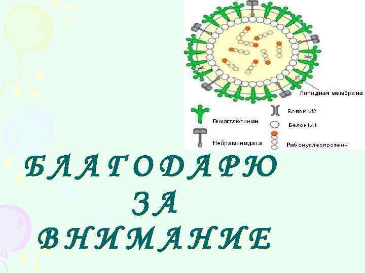 БЛАГОДАРЮ ЗА ВНИМАНИЕ 