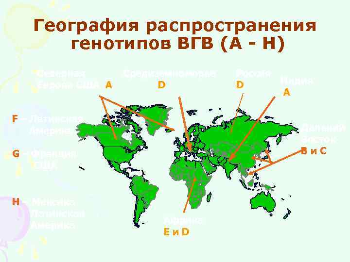 География распространения генотипов ВГВ (A - H) Северная Европа США A Средиземноморье D F