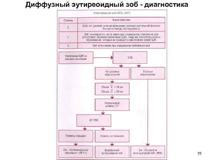 Диффузный эутиреоидный зоб - диагностика 56 