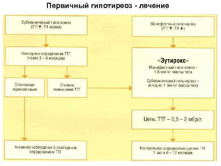 Первичный гипотиреоз - лечение 59 