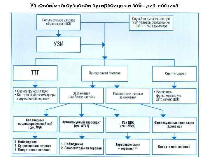 Узловой/многоузловой эутиреоидный зоб - диагностика 61 