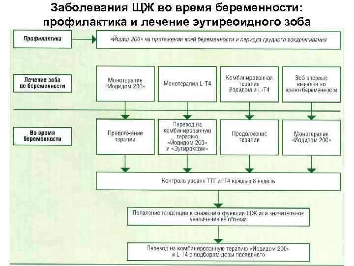 Заболевания ЩЖ во время беременности: профилактика и лечение эутиреоидного зоба 67 