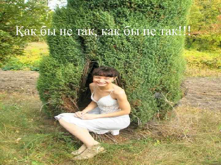 Как бы не так, как бы не так!!! 