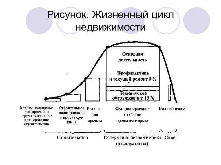 Рисунок. Жизненный цикл недвижимости 