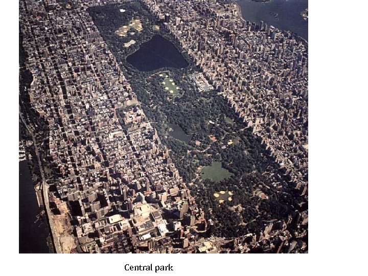 Central park 