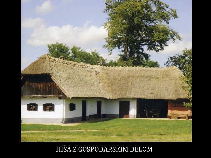 HIŠA Z GOSPODARSKIM DELOM 
