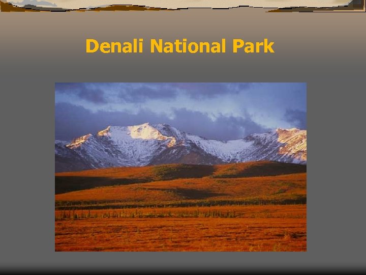Denali National Park 