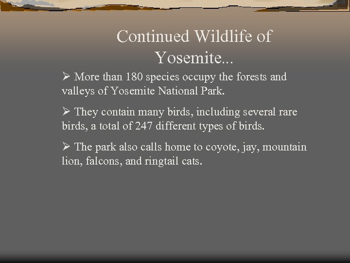 Continued Wildlife of Yosemite… Ø More than 180 species occupy the forests and valleys