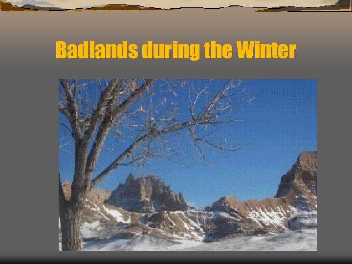 Badlands during the Winter 