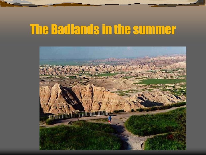 The Badlands in the summer 