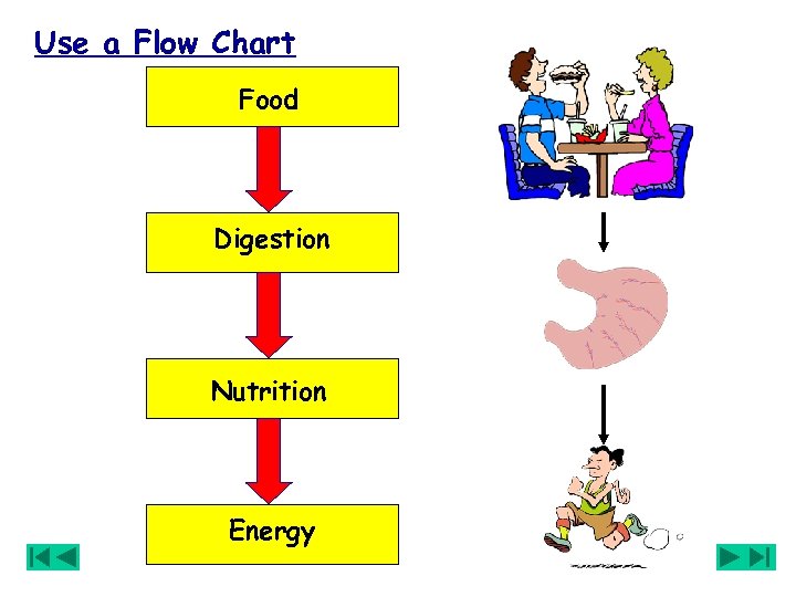 Use a Flow Chart Food Digestion Nutrition Energy 