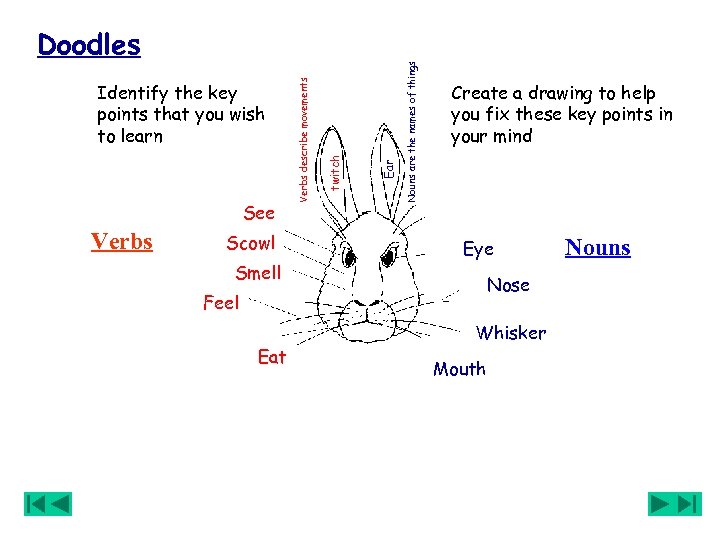 Verbs Scowl Smell Ear Nouns are the names of things See twitch Identify the