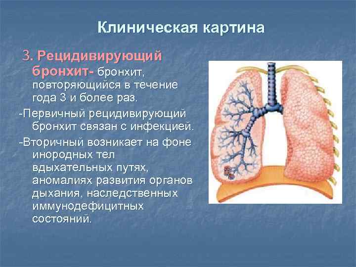 Клиническая картина 3. Рецидивирующий бронхит- бронхит, повторяющийся в течение года 3 и более раз.