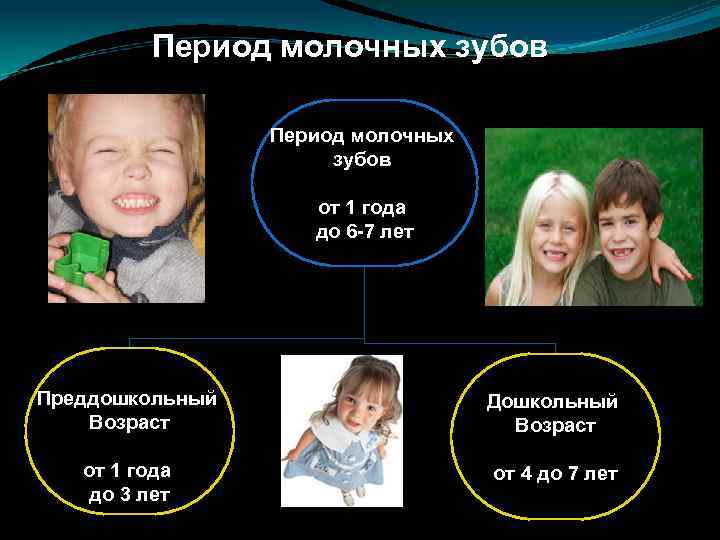 Период молочных зубов от 1 года до 6 -7 лет Преддошкольный Возраст Дошкольный Возраст