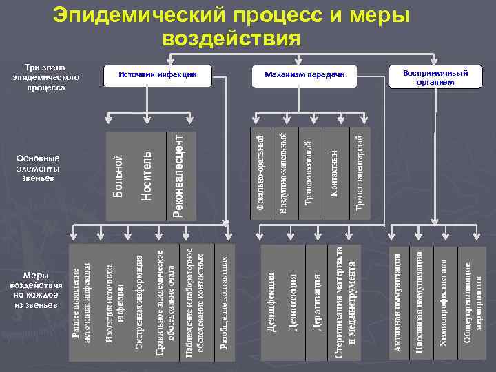 Эпидемический процесс и меры воздействия схема