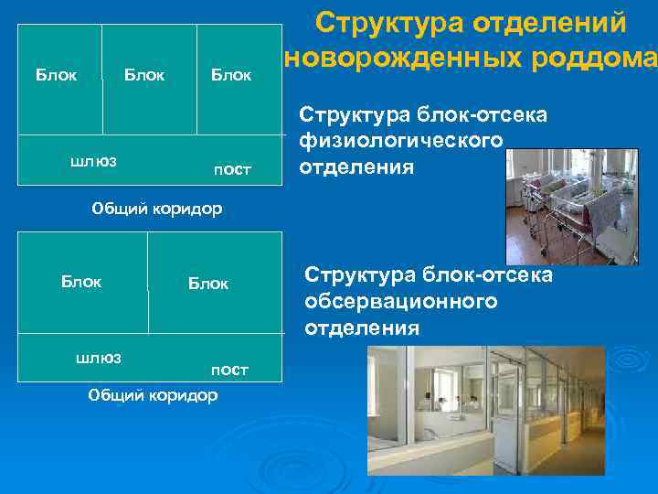 Отделение типа м. Структура родильного отделения. Родильный блок структура. Структура отделения новорожденных. Структура отделения новорожденных родильного дома.