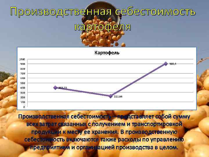 Производственная себестоимость – представляет собой сумму всех затрат связанных с получением и транспортировкой продукции